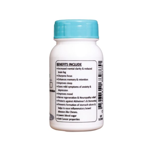 Lion's Mane (Brain Health, Memory, Concentration) - Image 4