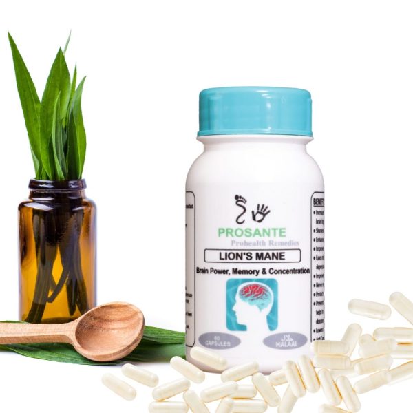 Lion's Mane (Brain Health, Memory, Concentration) - Image 3