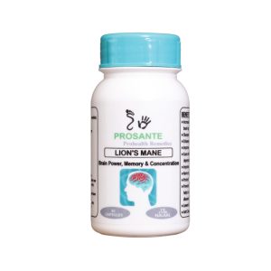 Lion's Mane (Brain power, Memory, Concentration)