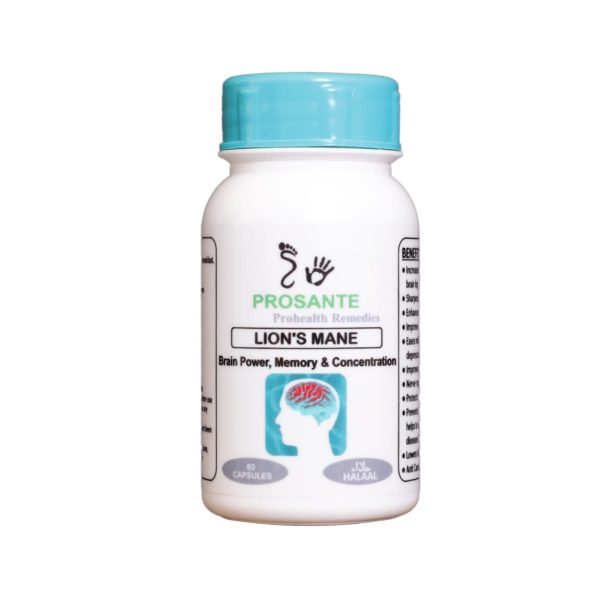 Lion's Mane (Brain Health, Memory, Concentration)